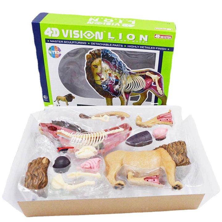 4D Lion Beast Wild Animal Internal Organs Anatomy Teaching Model Puzzle Assembly Toy Image 1