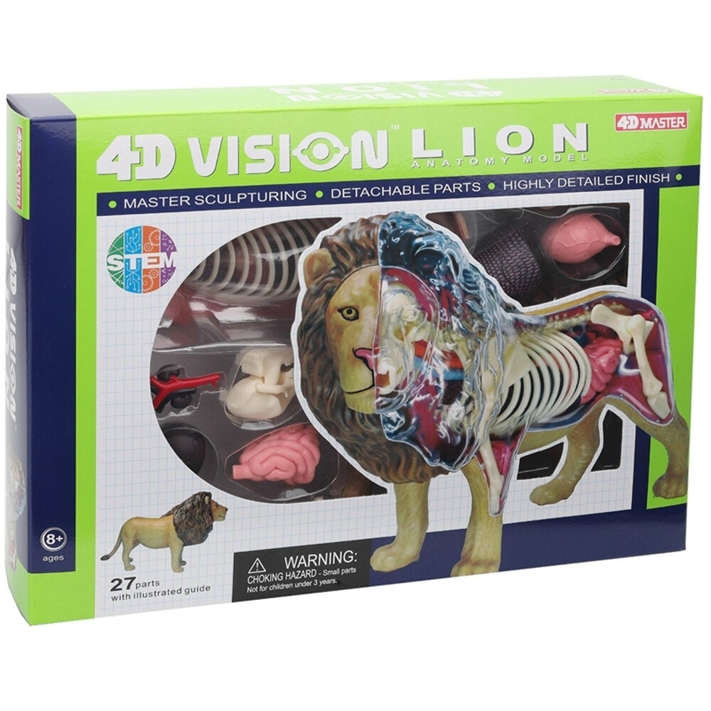 4D Lion Beast Wild Animal Internal Organs Anatomy Teaching Model Puzzle Assembly Toy Image 3