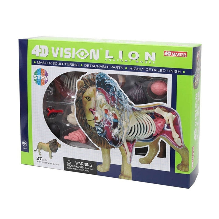 4D Lion Beast Wild Animal Internal Organs Anatomy Teaching Model Puzzle Assembly Toy Image 4