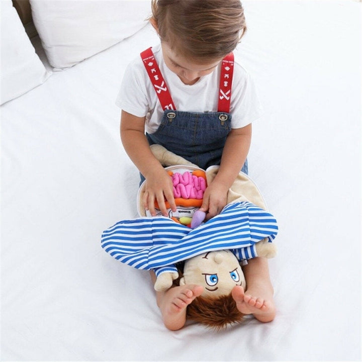 Children Fabric Body Structure Puzzle Doll Boys and Girls Human Organ Structure Cognitive Educational Toys Image 4