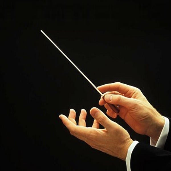 Concert Baton Rhythm Director Band Conductor Resin 36cm long Image 2