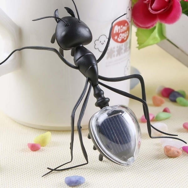 Educational Solar powered Ant Energy-saving Model Toy Children Teaching Fun Insect Toy Gift Image 3