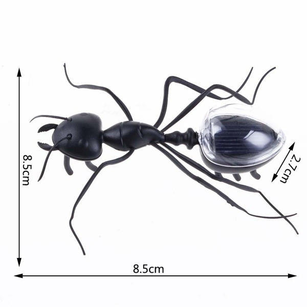 Educational Solar powered Ant Energy-saving Model Toy Children Teaching Fun Insect Toy Gift Image 4