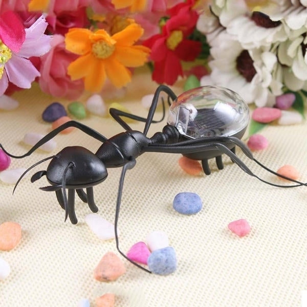 Educational Solar powered Ant Energy-saving Model Toy Children Teaching Fun Insect Toy Gift Image 6