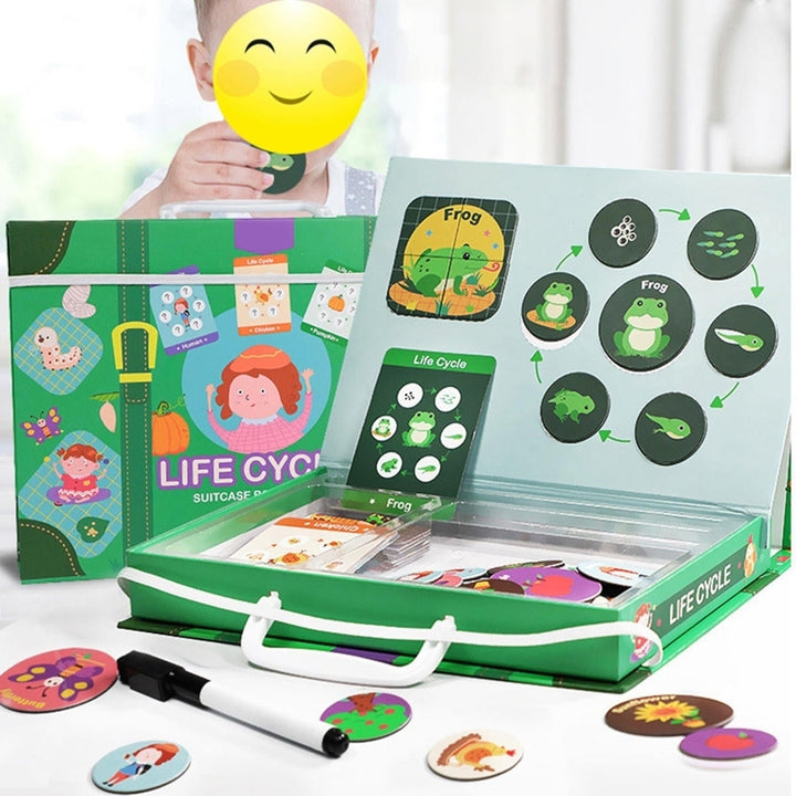 Magnetic Puzzle Leaning Life Cycle Animal Human Growth Educational Kids Toys for Kids Gift Image 2