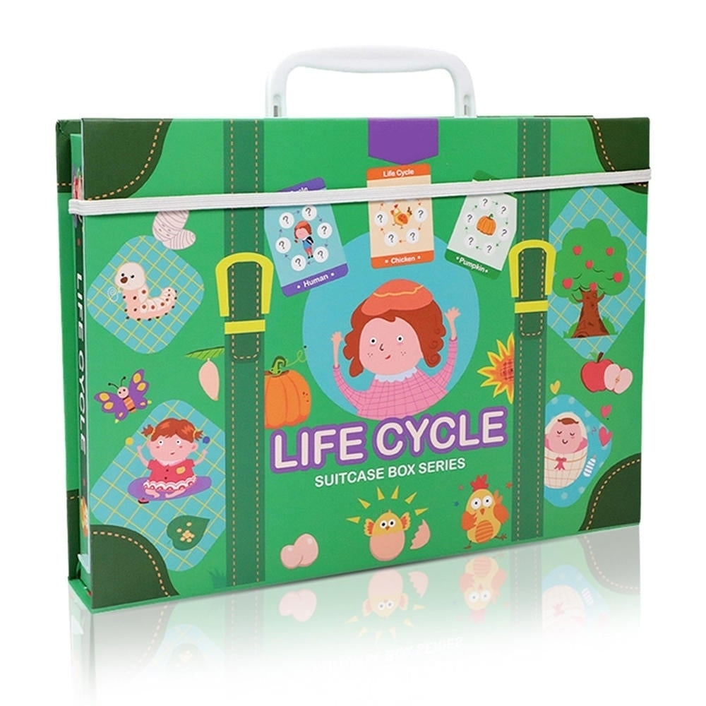 Magnetic Puzzle Leaning Life Cycle Animal Human Growth Educational Kids Toys for Kids Gift Image 7
