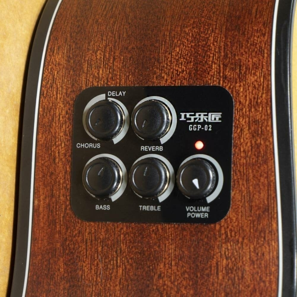 Pickup Deliver Chorus Delay and Reverb Sounds Direct from Acoustic Guitar Image 2