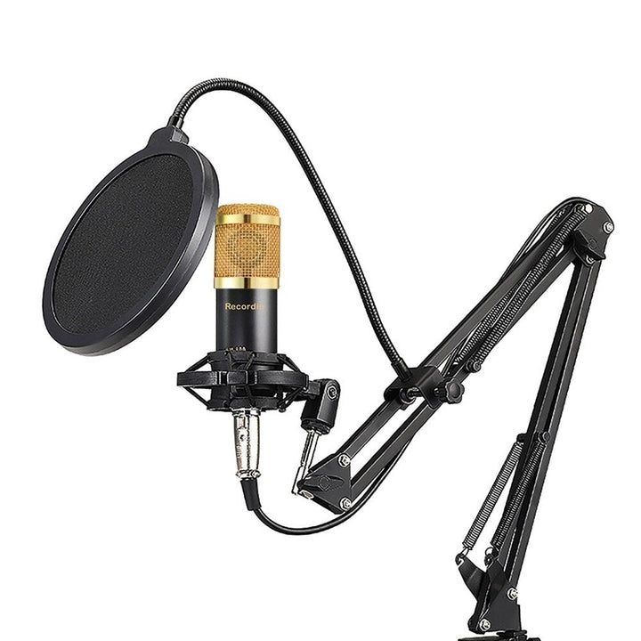Professional Studio Broadcasting Recording set Condenser Microphone Ball-type Anti-wind Foam Power Black Image 4