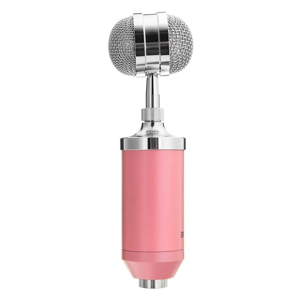 Studio Recording Condenser Microphone Metal Shock Mount for ASMR Image 4