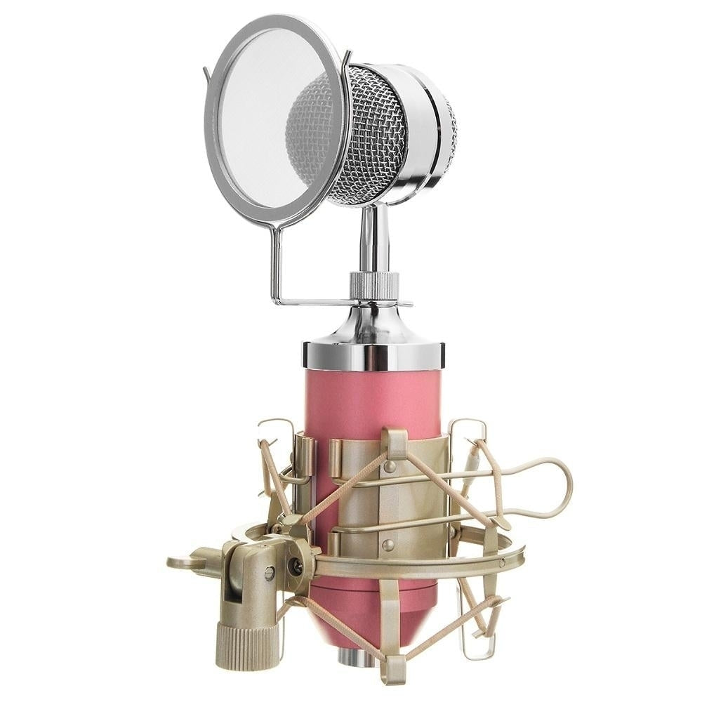 Studio Recording Condenser Microphone Metal Shock Mount for ASMR Image 6