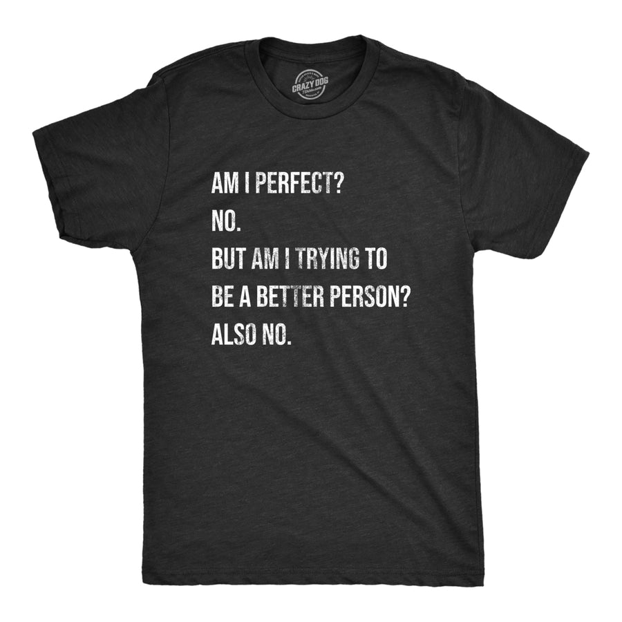 Mens Am I Perfect No T Shirt Funny Sarcastic Self Improvement Joke Novelty Tee For Guys Image 1