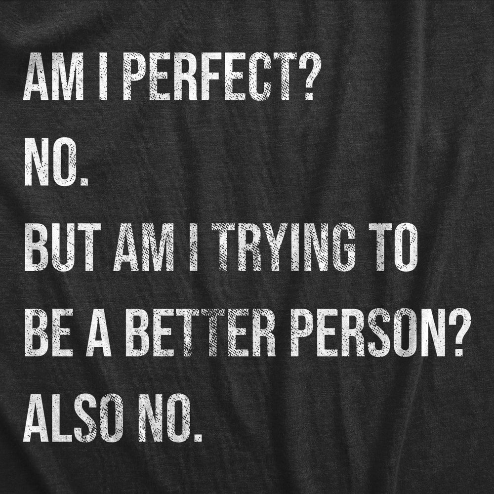 Mens Am I Perfect No T Shirt Funny Sarcastic Self Improvement Joke Novelty Tee For Guys Image 2