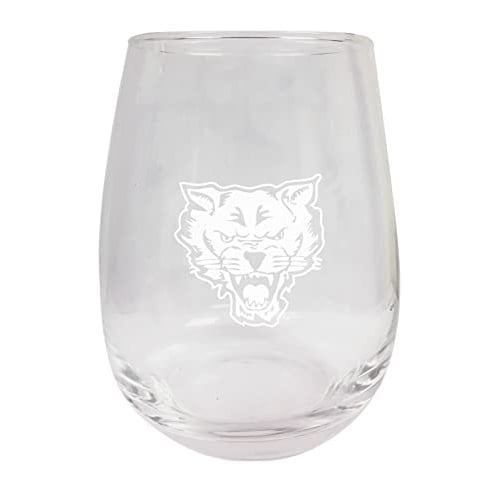 Fort Valley State University NCAA 15 oz Laser-Engraved Stemless Wine Glass - Perfect for Alumni and Fans Image 1