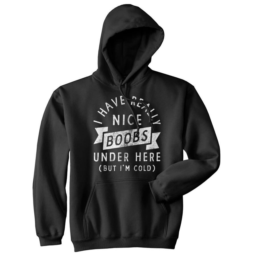 I Have Really Nice Boobs Under Here But Im Cold Unisex Hoodie Funny Boob Joke Novelty Sweatshirt Image 1