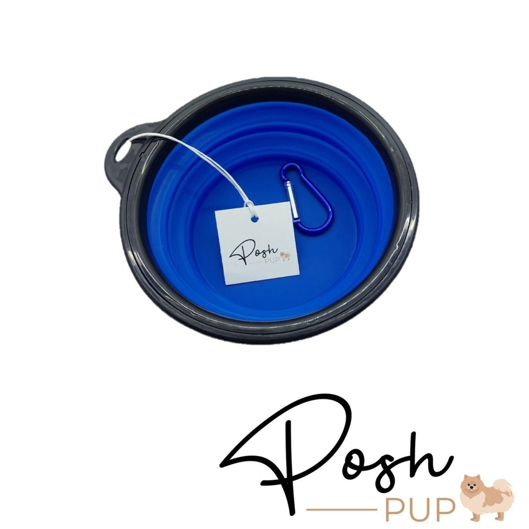 5" Blue Silicone Portable Foldable Collapsible Pet Bowl by Posh Pup Image 3