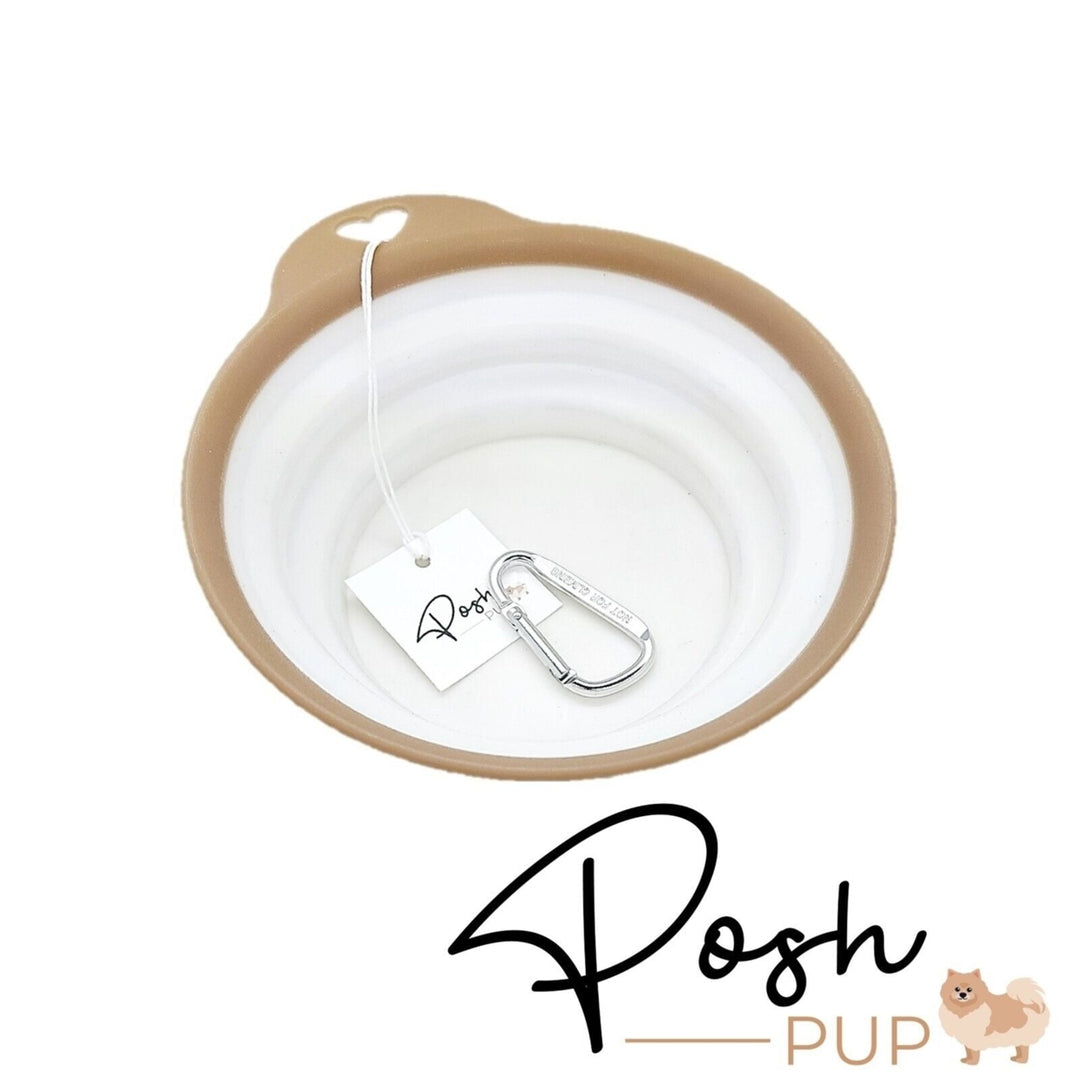 4.5" White with Brown Rim Silicone Portable Foldable Collapsible Pet Bowl Image 4
