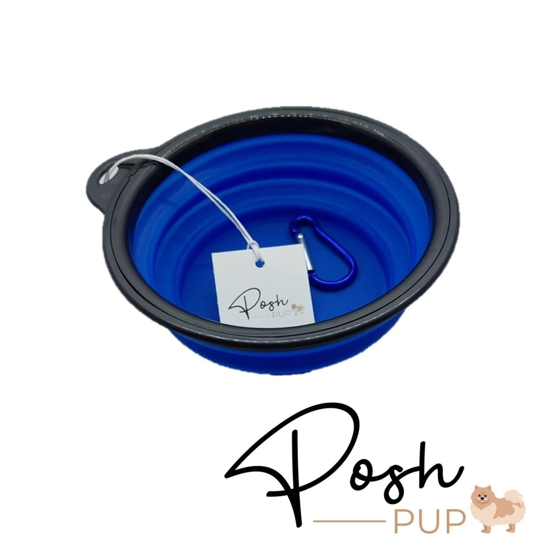 5" Blue Silicone Portable Foldable Collapsible Pet Bowl by Posh Pup Image 4