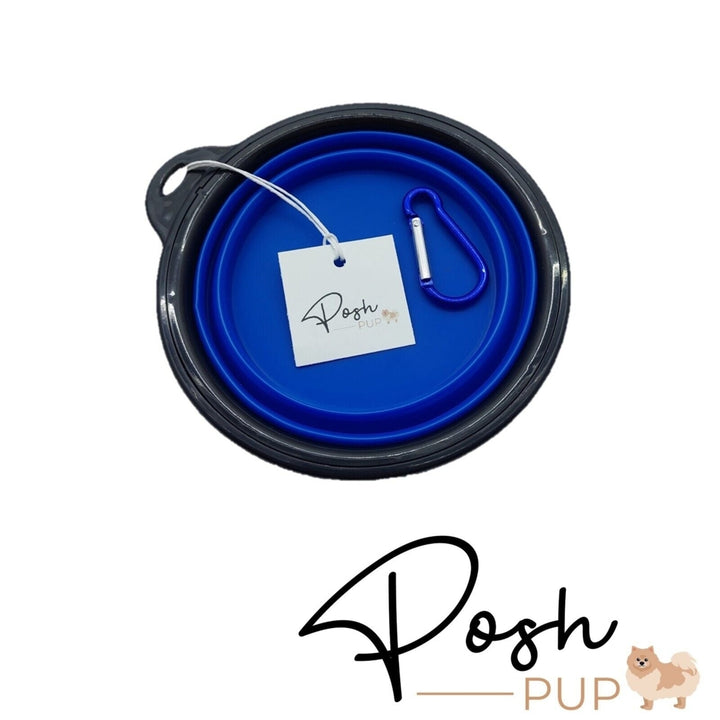 5" Blue Silicone Portable Foldable Collapsible Pet Bowl by Posh Pup Image 4
