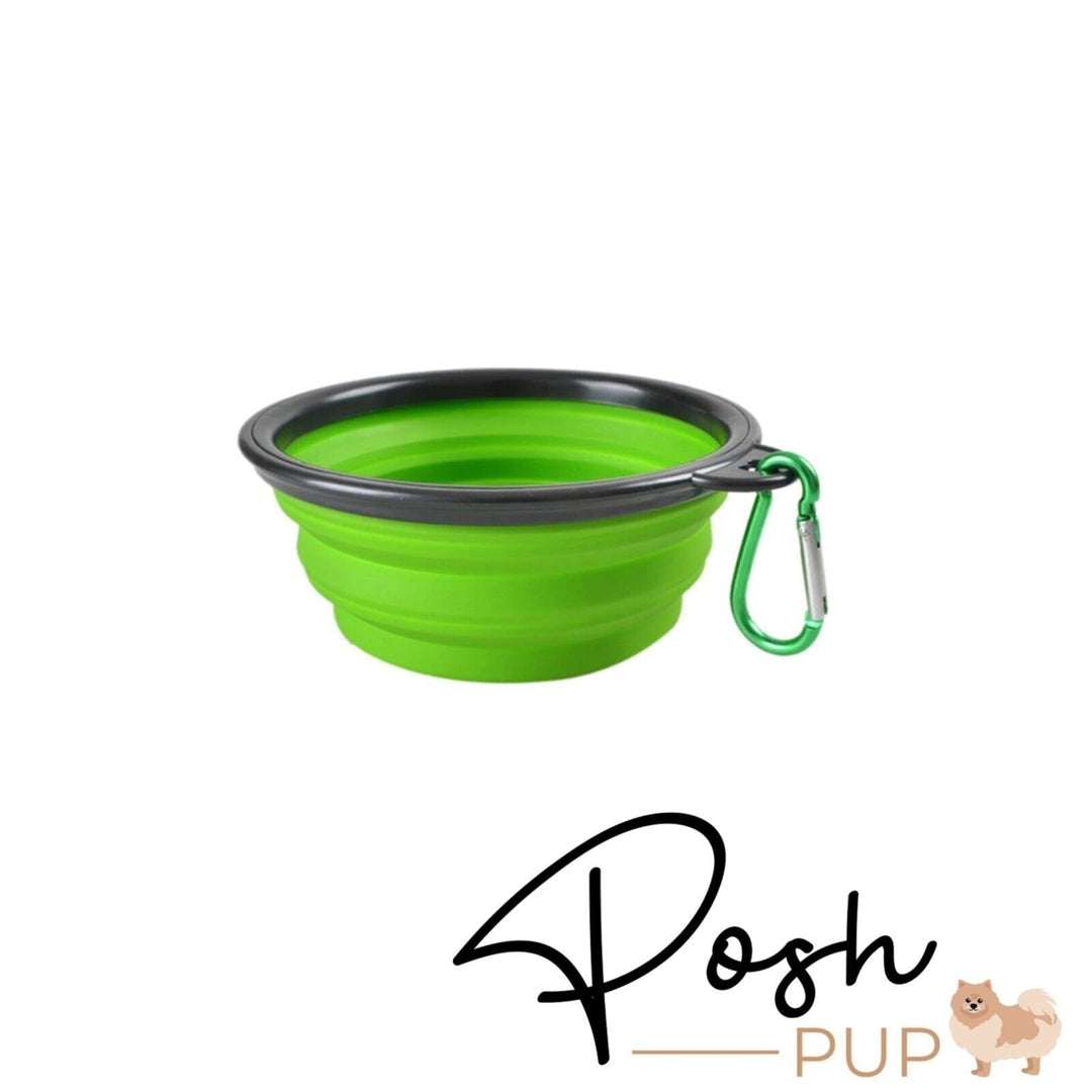 5" Green Silicone Portable Foldable Collapsible Pet Bowl by Posh Pup Image 2