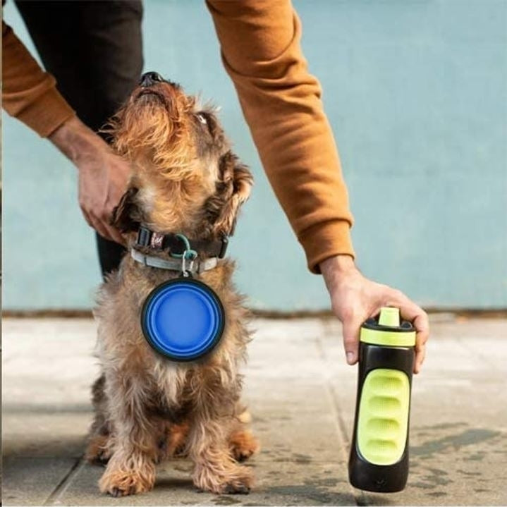 5" Blue Silicone Portable Foldable Collapsible Pet Bowl by Posh Pup Image 8