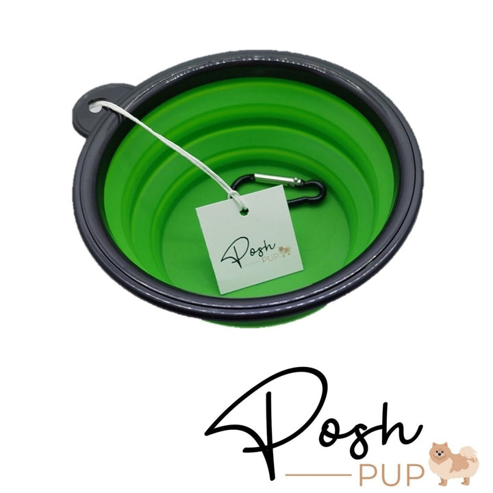 5" Green Silicone Portable Foldable Collapsible Pet Bowl by Posh Pup Image 3