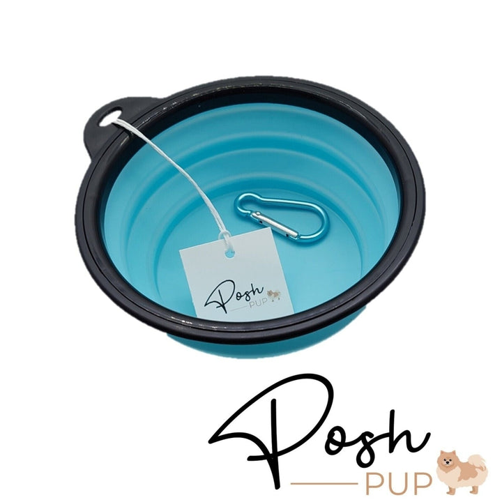 5" Light Blue Silicone Portable Foldable Collapsible Pet Bowl by Posh Pup Image 4