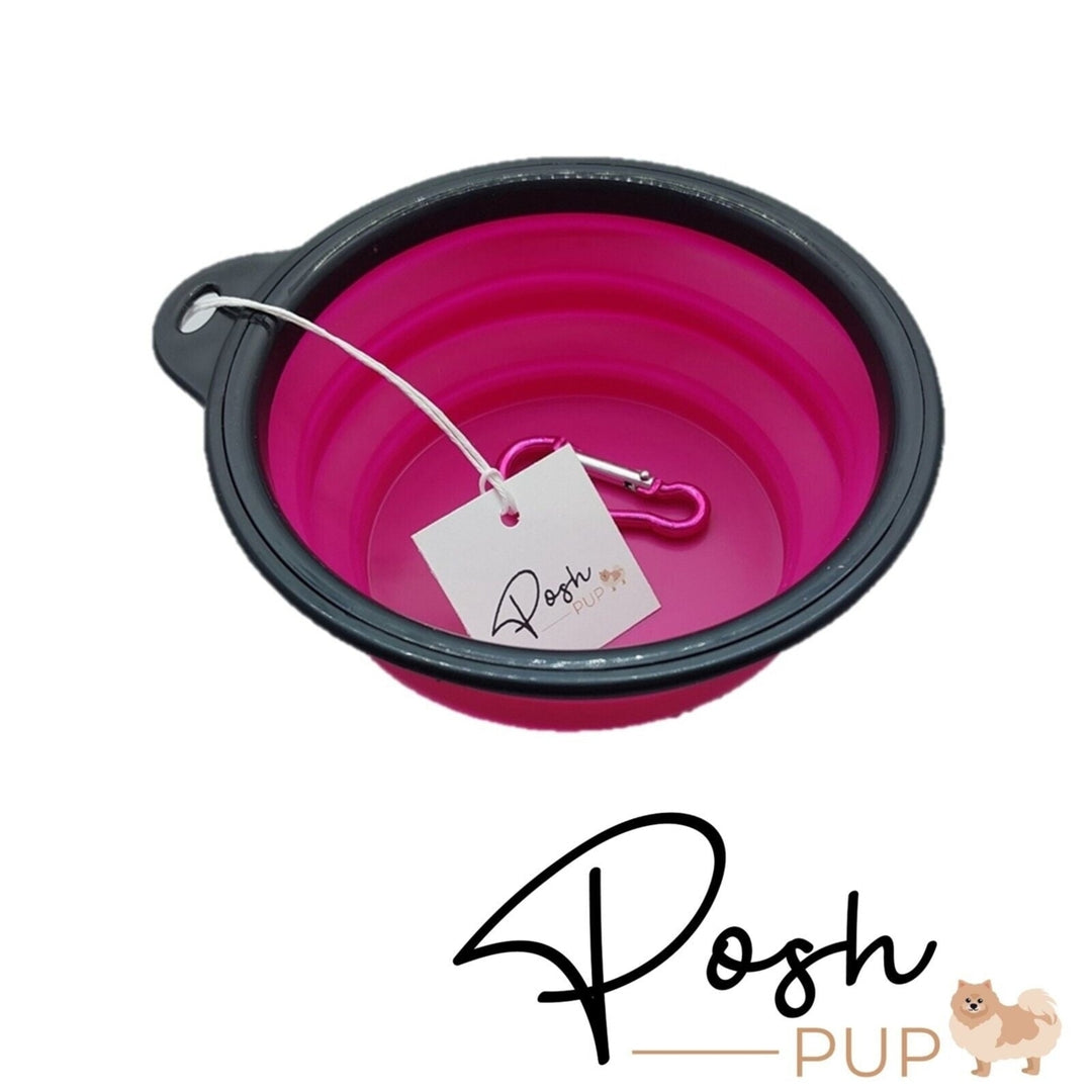 5" Pink Silicone Portable Foldable Collapsible Pet Bowl by Posh Pup Image 3
