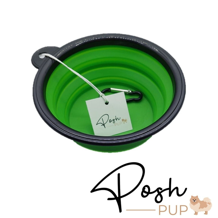 5" Green Silicone Portable Foldable Collapsible Pet Bowl by Posh Pup Image 4