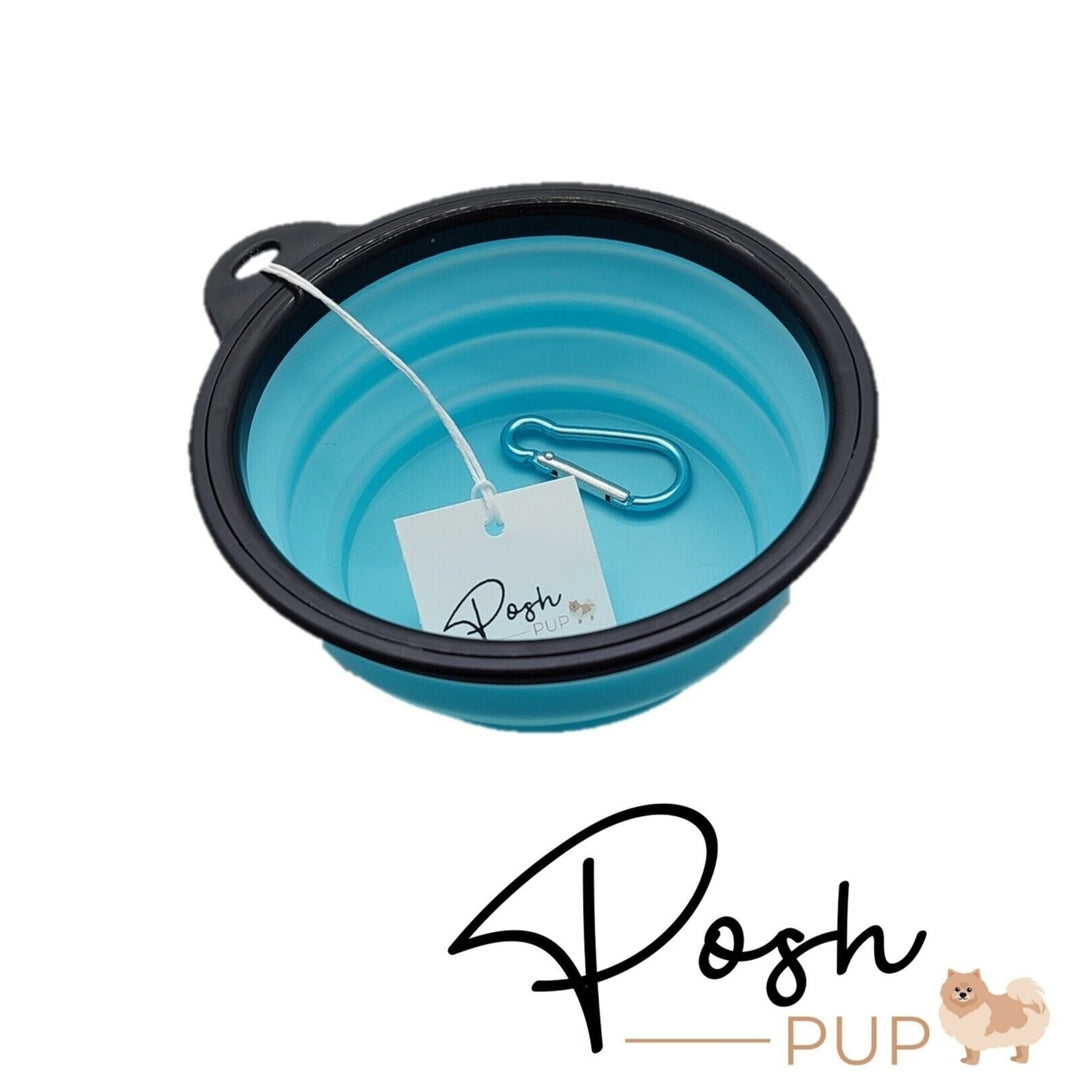 5" Light Blue Silicone Portable Foldable Collapsible Pet Bowl by Posh Pup Image 4