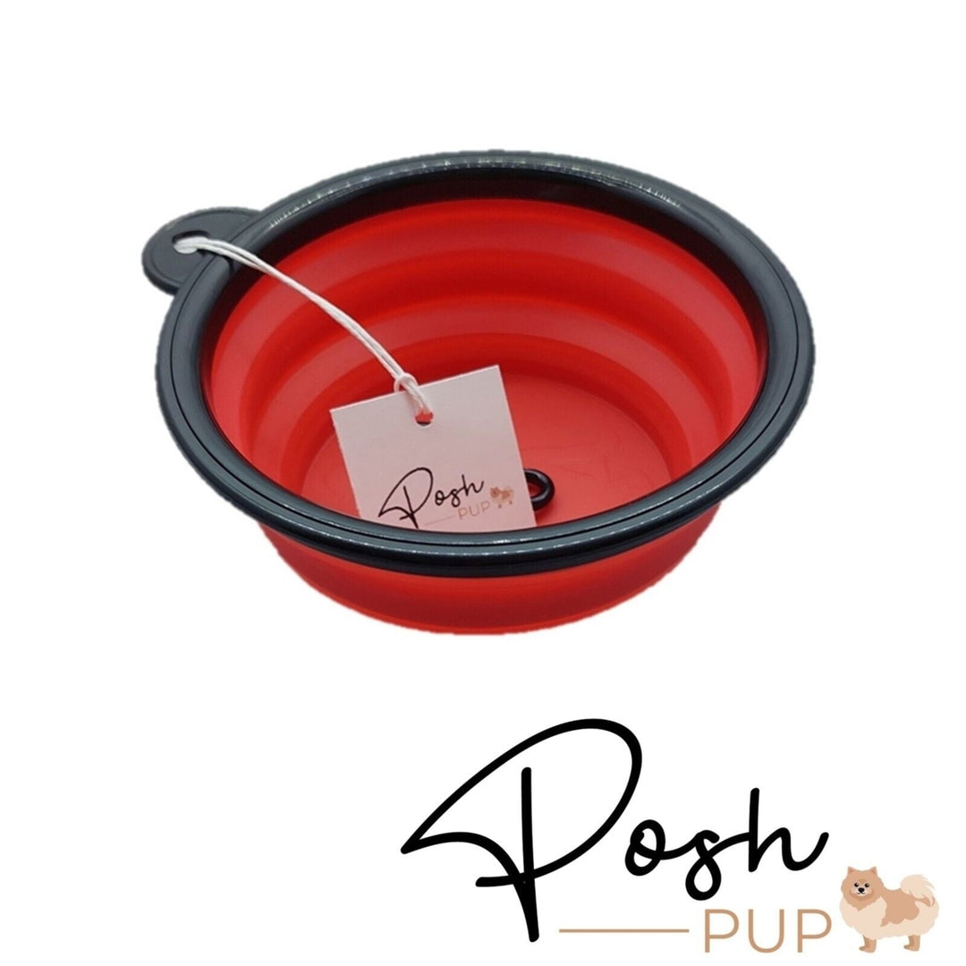 5" Red Silicone Portable Foldable Collapsible Pet Bowl by Posh Pup Image 3
