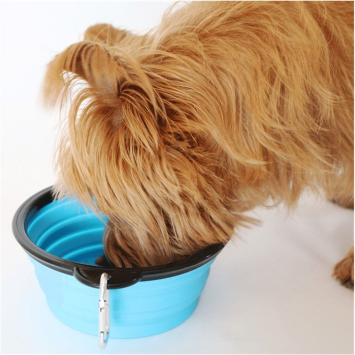 5" Light Blue Silicone Portable Foldable Collapsible Pet Bowl by Posh Pup Image 7