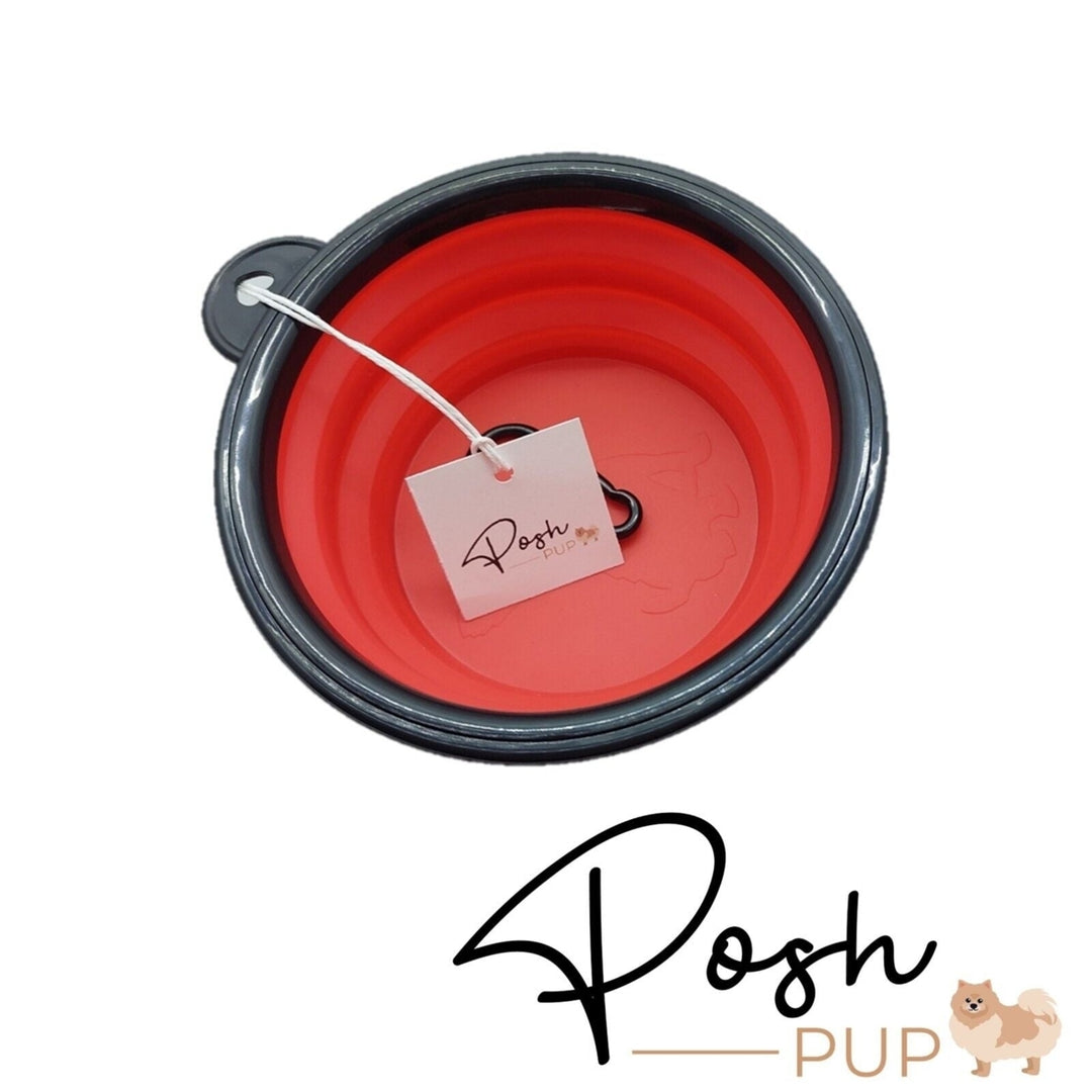 5" Red Silicone Portable Foldable Collapsible Pet Bowl by Posh Pup Image 4