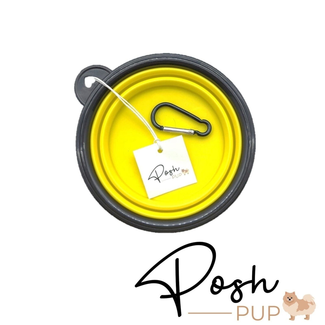 5" Yellow Silicone Portable Foldable Collapsible Pet Bowl by Posh Pup Image 7
