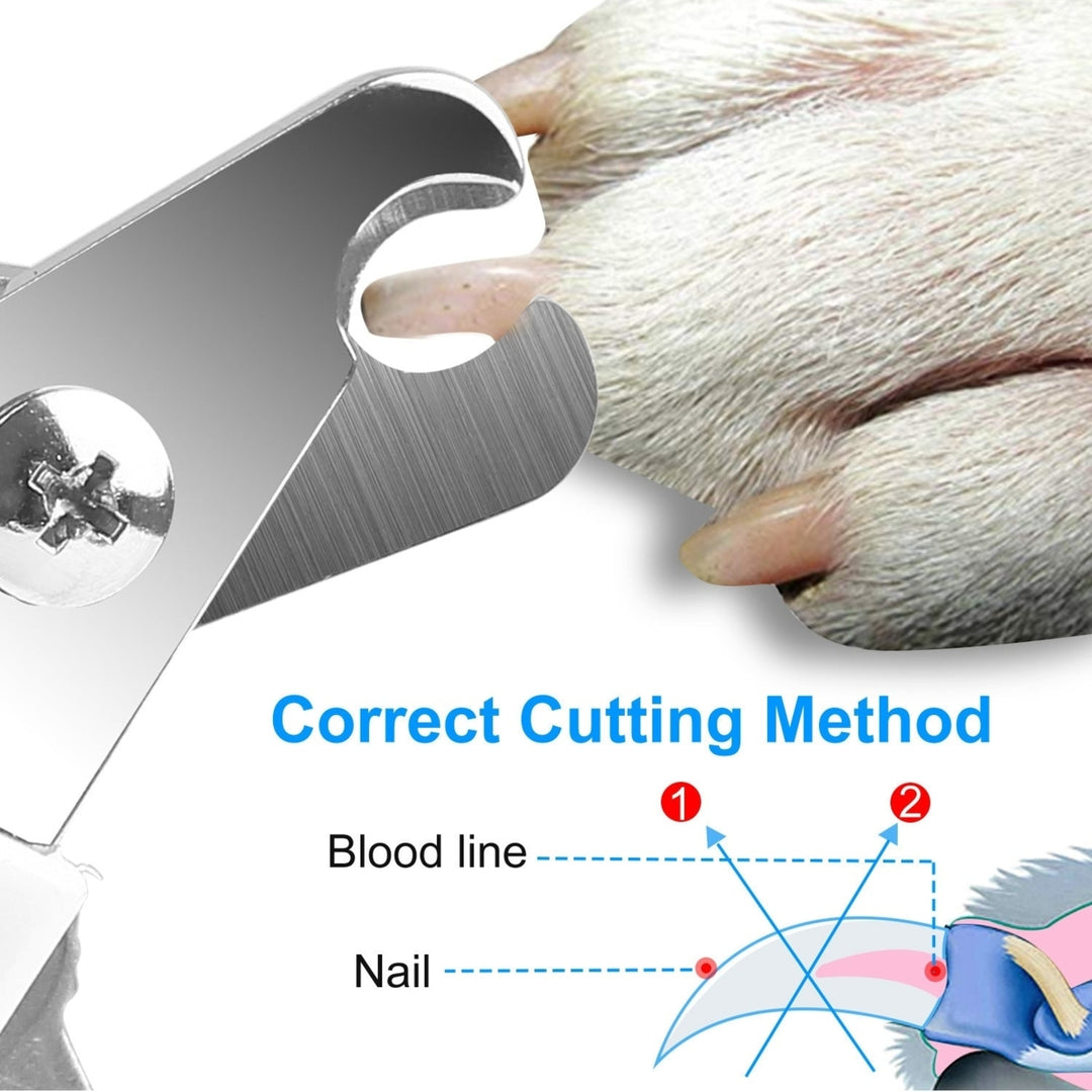 Dog Nail Clippers Pet Cat Nail Toe Trimmer Stainless Steel Grooming Tool Free Nail File Small Medium Large Dogs L Size Image 6