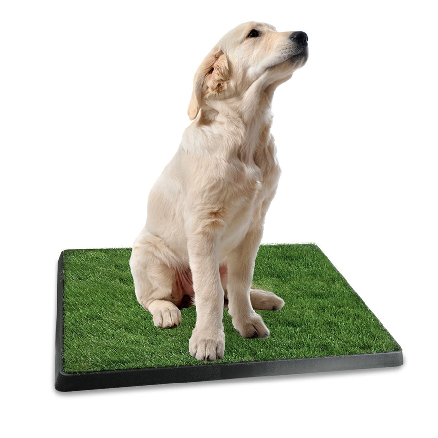 Dog Potty Training Artificial Grass Pad Pet Cat Toilet Trainer Mat Puppy Loo Tray Turf Image 1