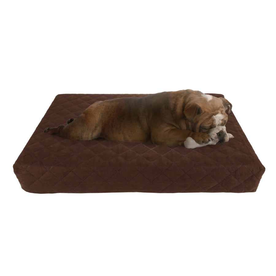 Waterproof Indoor Outdoor Memory Foam Orthopedic Small Medium Pet Dog Bed Removable Cover 20 x 30 Inches Image 1