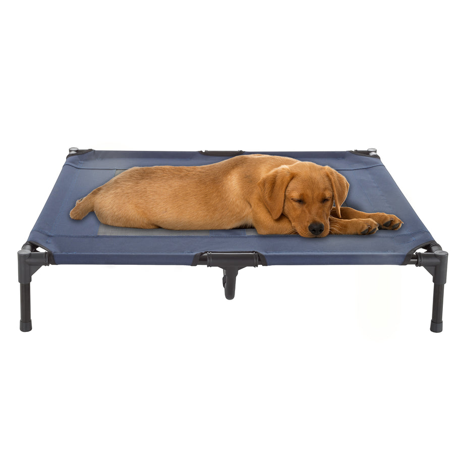 Med Large Dog Cat Bed Indoor Outdoor Raised Elevated Cot 36 x 29 Inch Camping Travel Image 1