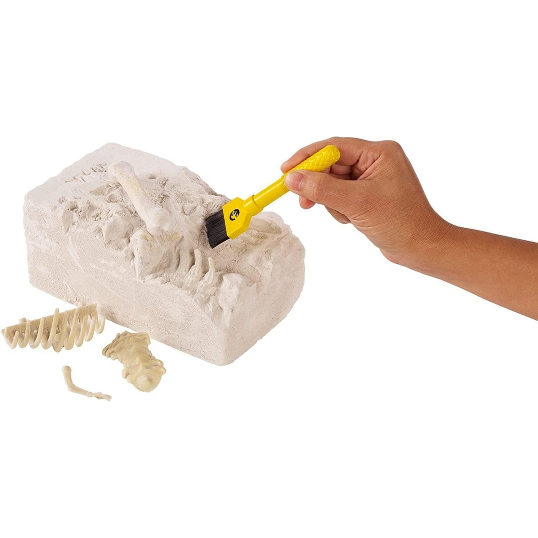 Jurassic World Playleontology Kit STEM Dinosaur T-Rex Bones Unassembled Mattel Image 6