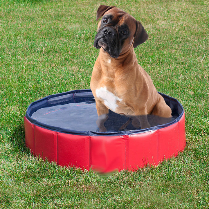 Foldable Large and Small Dog Pool Dog Bath Safe And Non Toxic Kids Rigid Pool Image 6