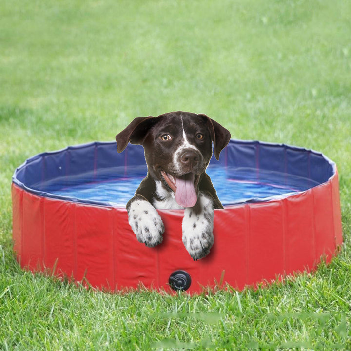 Foldable Large and Small Dog Pool Dog Bath Safe And Non Toxic Kid's Rigid Pool Image 1