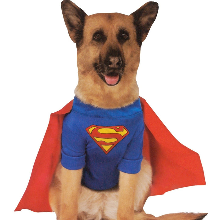 DC Comics Superman Pet Costume With Arms Image 1