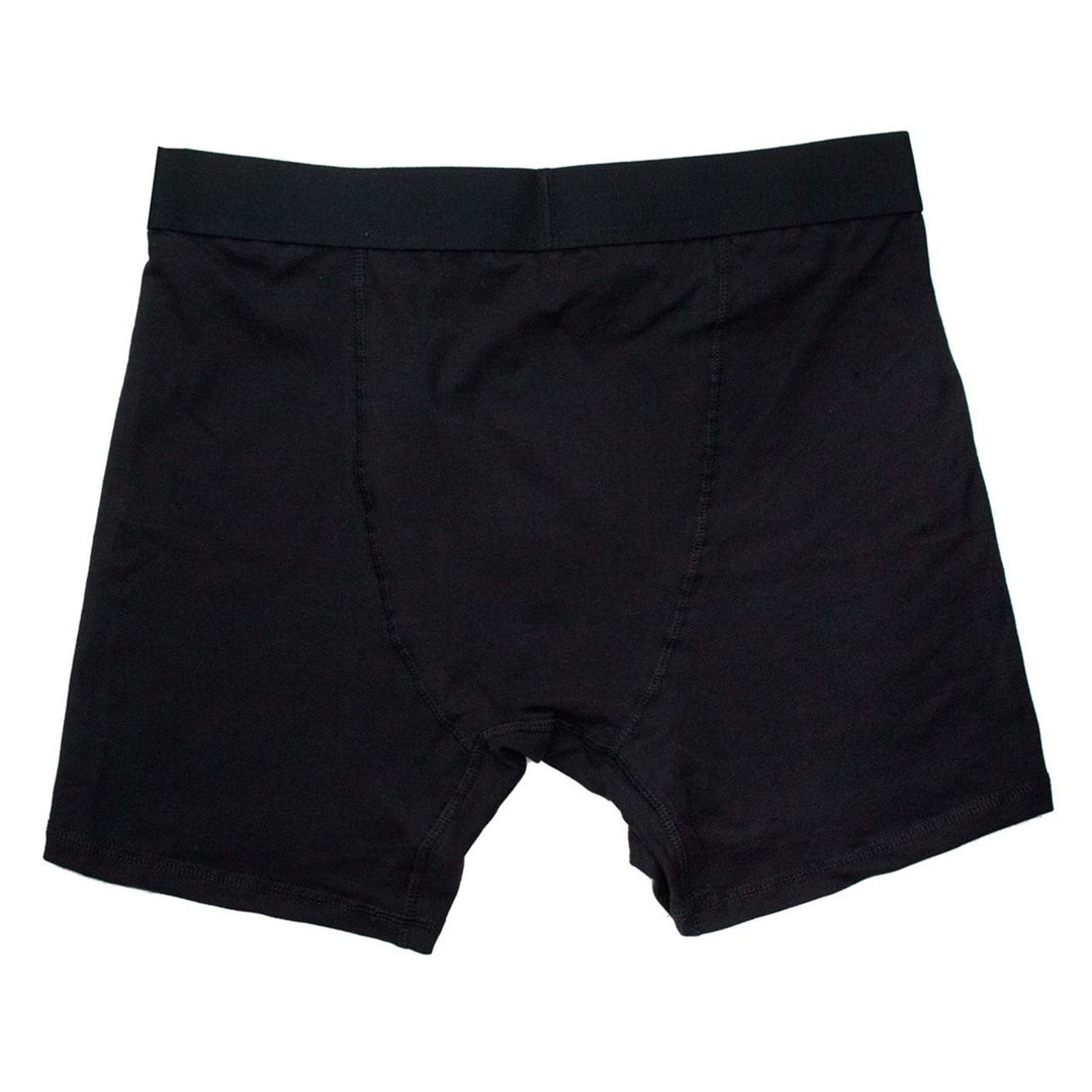 Nightwing Classic Symbol Mens Underwear Boxer Briefs Image 2