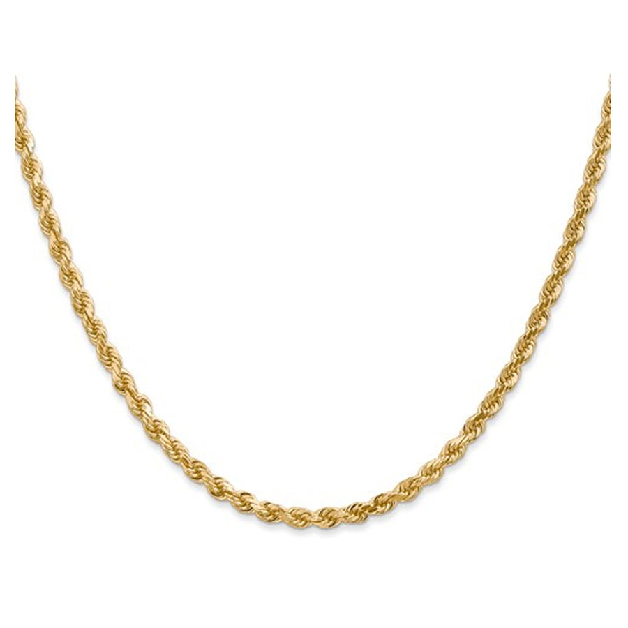 14K Yellow Gold Diamond-Cut Rope Chain Necklace 22 Inches (3.00 mm) Image 1