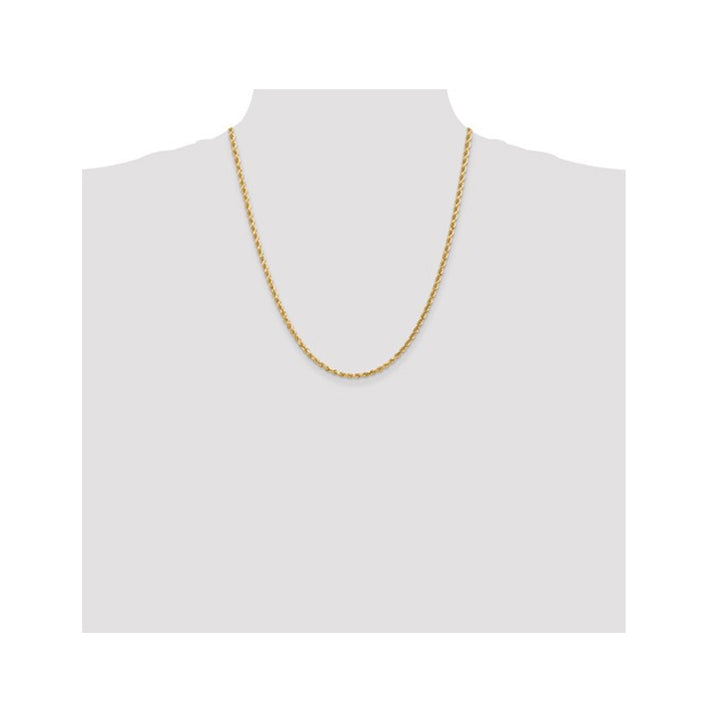 14K Yellow Gold Diamond-Cut Rope Chain Necklace 22 Inches (3.00 mm) Image 2