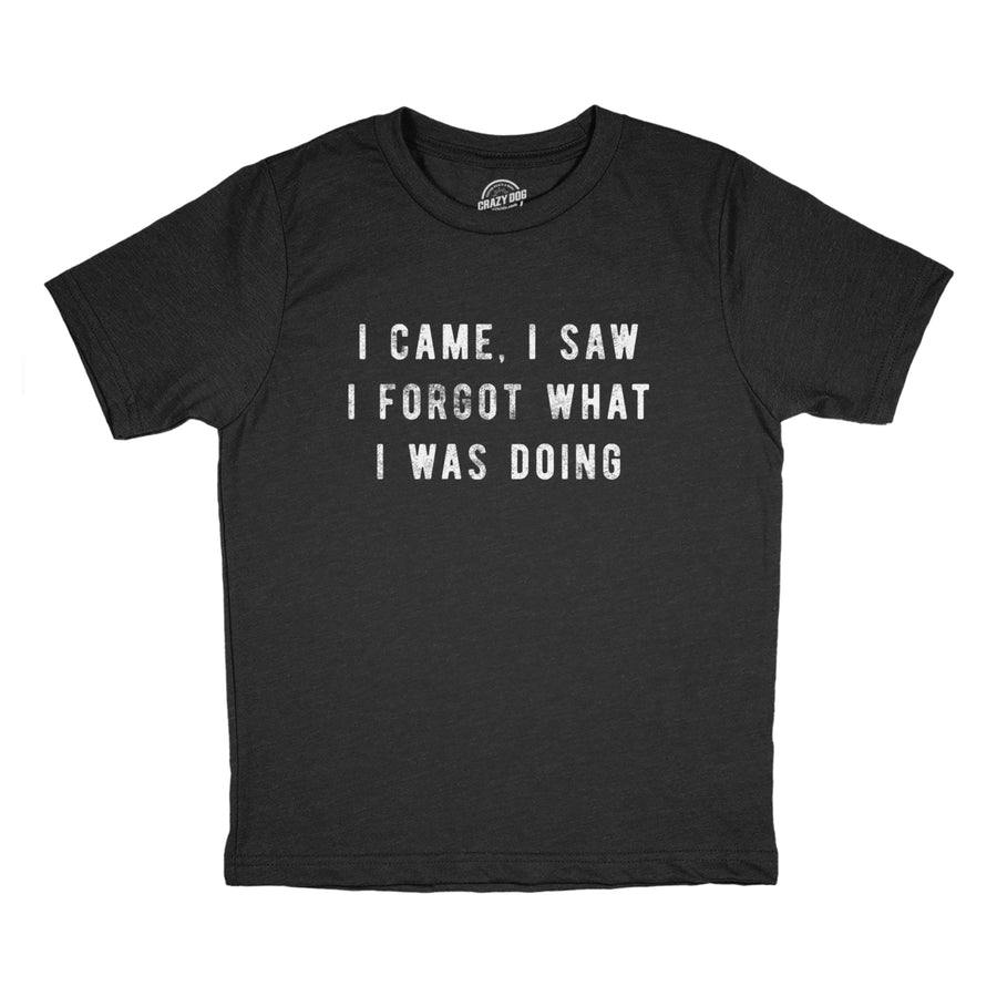 Youth I Came I Saw I Forgot What I Was Doing T Shirt Funny Short Term Memory Joke Tee For Kids Image 1