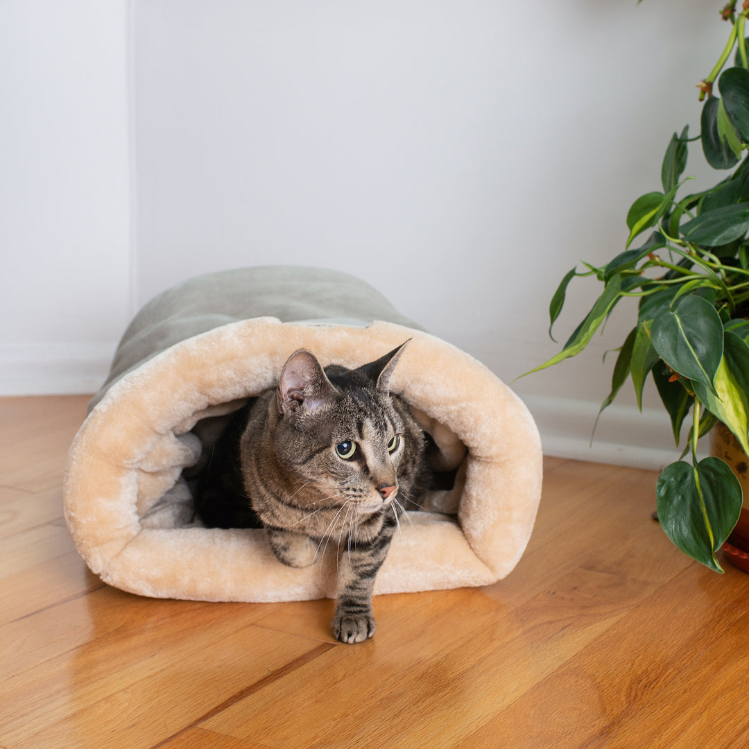 Armarkat Cat Sleep Bed Soft Enclosed Bed For Indoor Pets C15 Sage Green Image 4