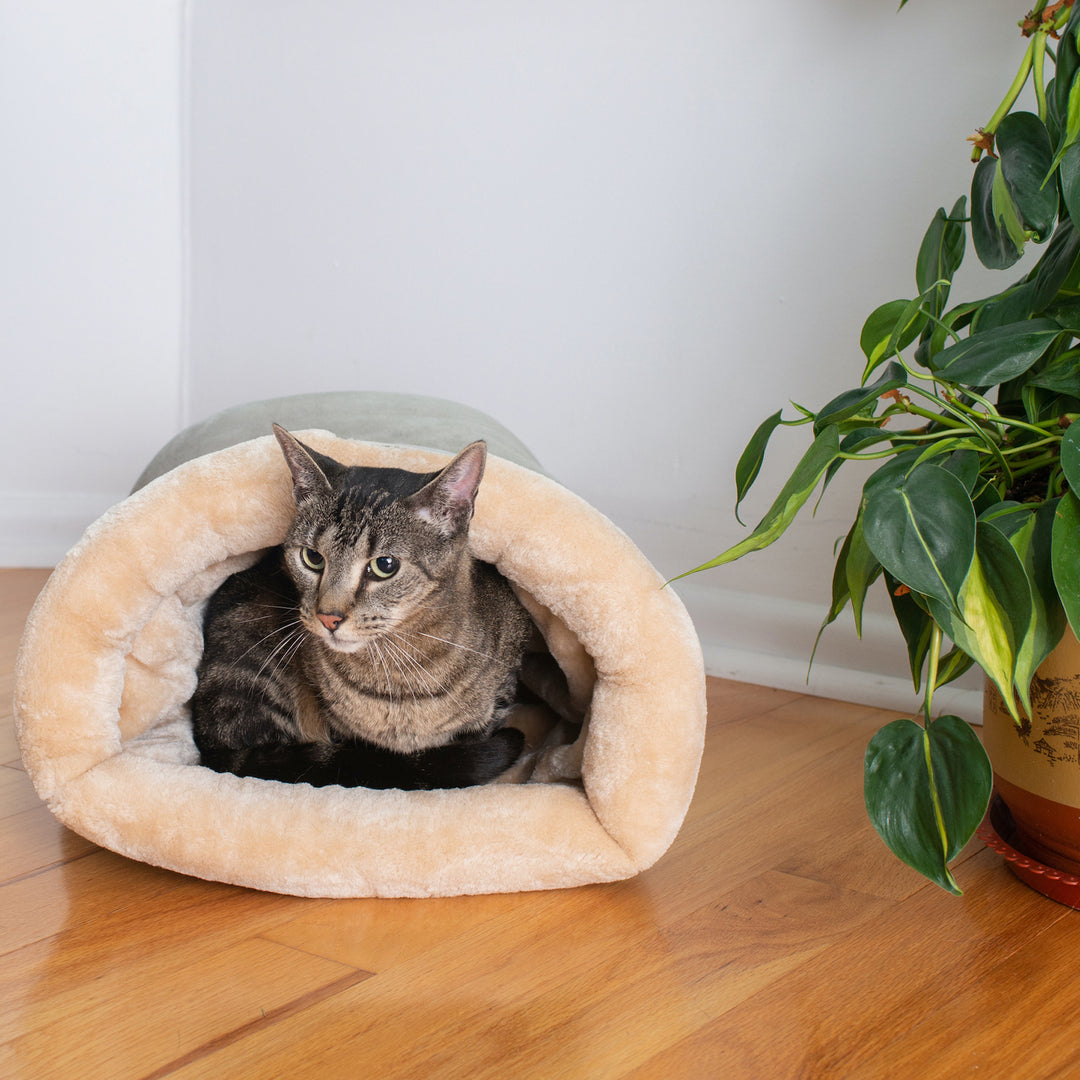 Armarkat Cat Sleep Bed Soft Enclosed Bed For Indoor Pets C15 Sage Green Image 6