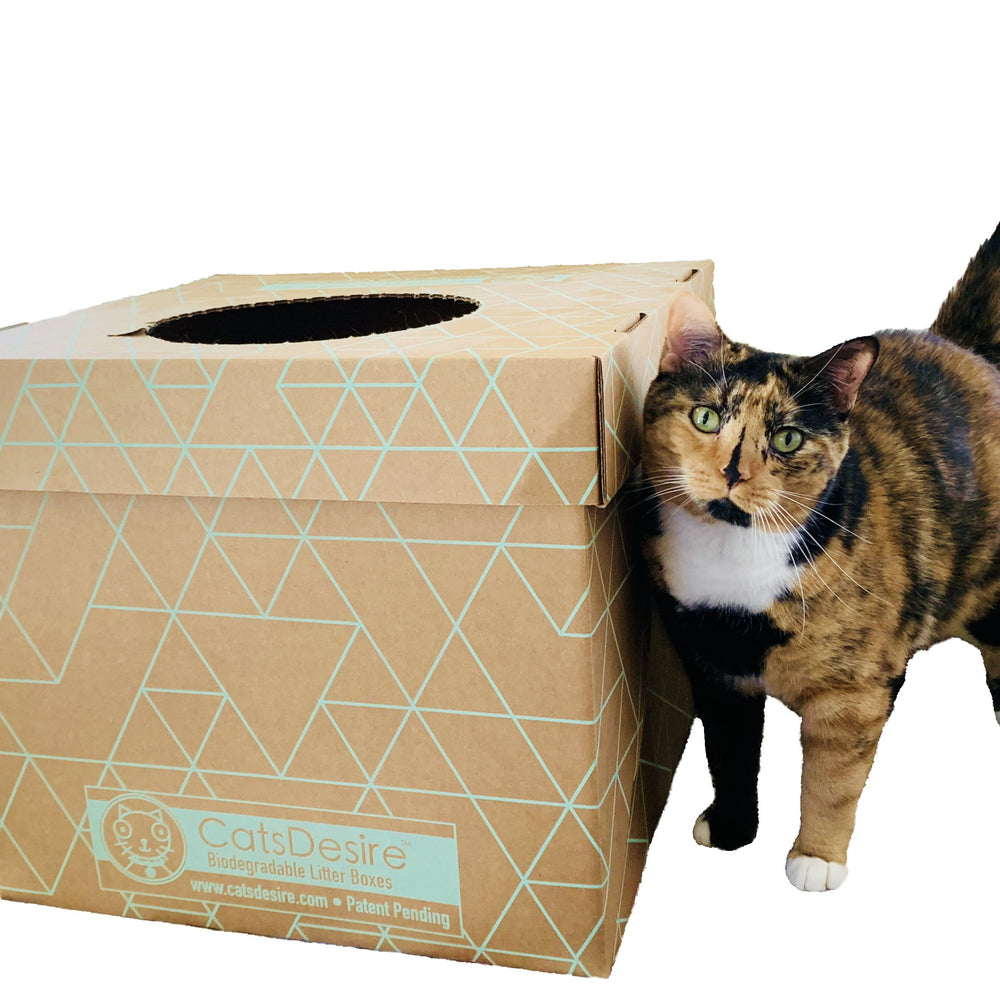 Cats Desire Disposable Litter Box Sampler Image 2