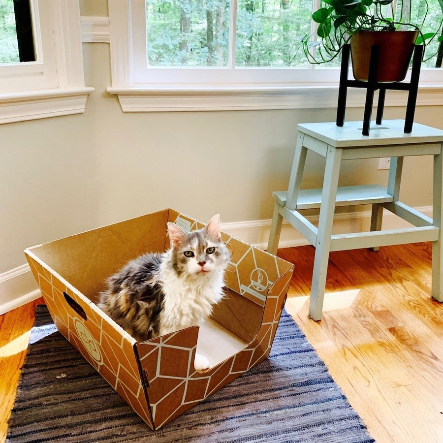 Cats Desire Disposable Litter Box Sampler Image 1