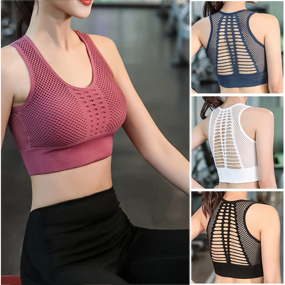 Sexy Mesh Fitness Padded Sports Bras for Women High Support Workout Tops Push Up Sports Bra for Gym Yoga Running Image 2